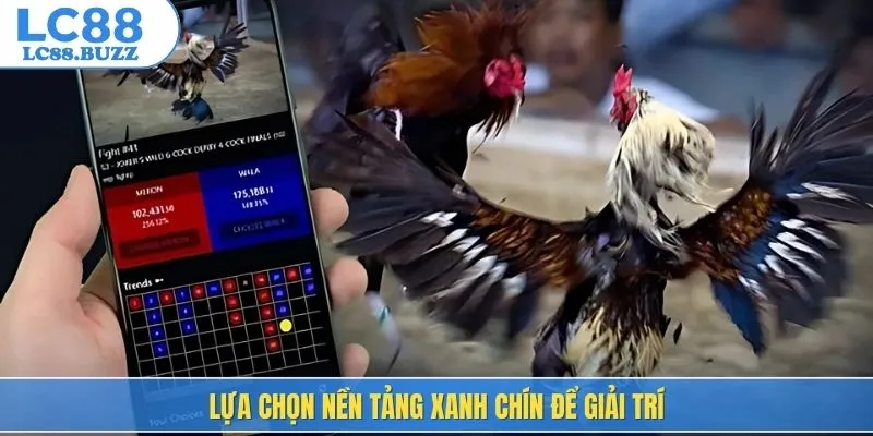 Lựa chọn nền tảng xanh chín để giải trí