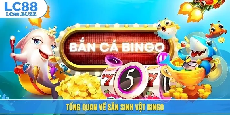 Tổng quan về săn sinh vật bingo